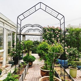 Metal Garden Arch, 56.3 Inches Long X 16.93 Inches Wide X 94.5 Inches High, Climbing Plant Support, Rose Arch, Outdoor Black, Fenced Platform, Te